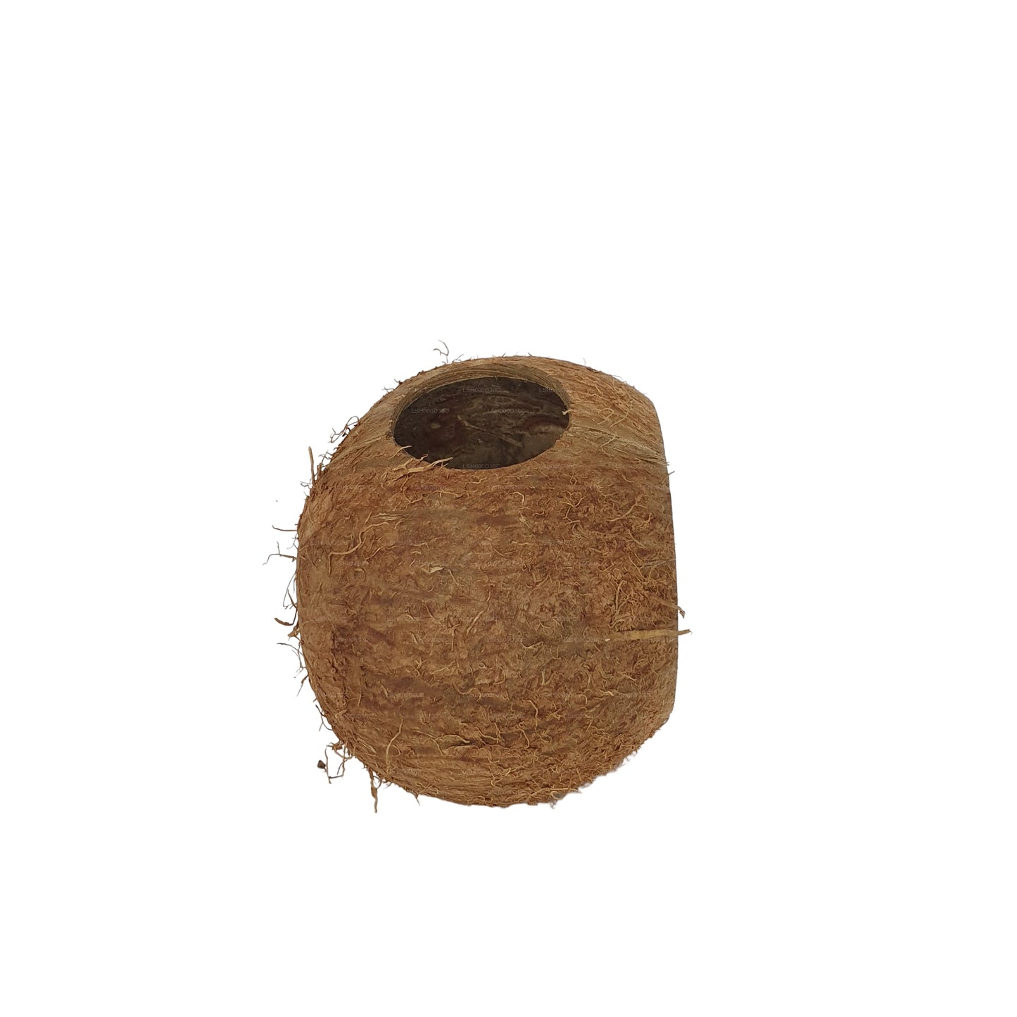Bivenro Natural 3/4 Coconut Shell Cave (Free Size)