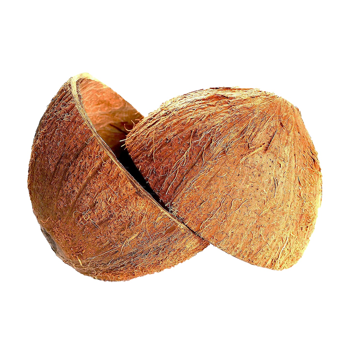 Lakpura® Coconut Shell Halves