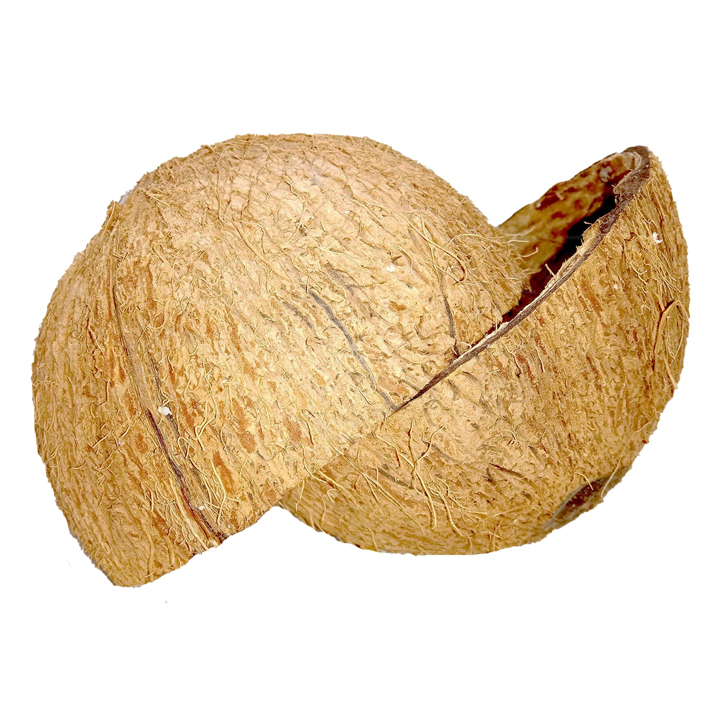 Lakpura® Coconut Shell Halves
