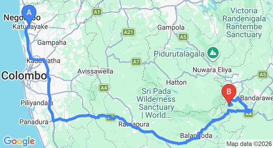 Driving route map: Colombo Airport (CMB) to Misty Mountain Lodge, Ohiya (239 km, approx 6 h 11 min private transfer)