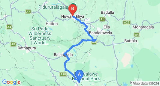 Driving route map: Udawalawe to Nuwara Eliya (132 km, approx 3 h 59 min private transfer)