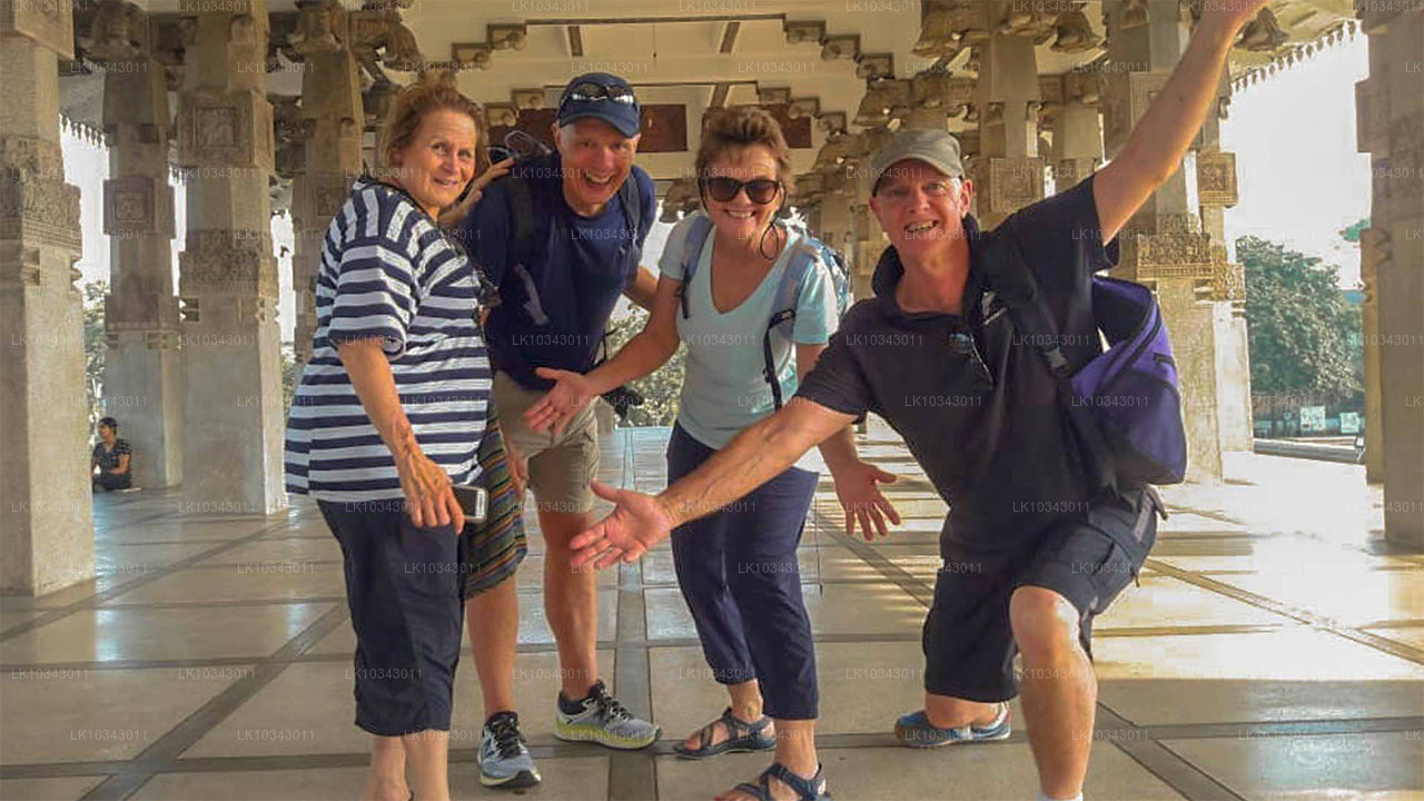 Wonder Island (3 Days)