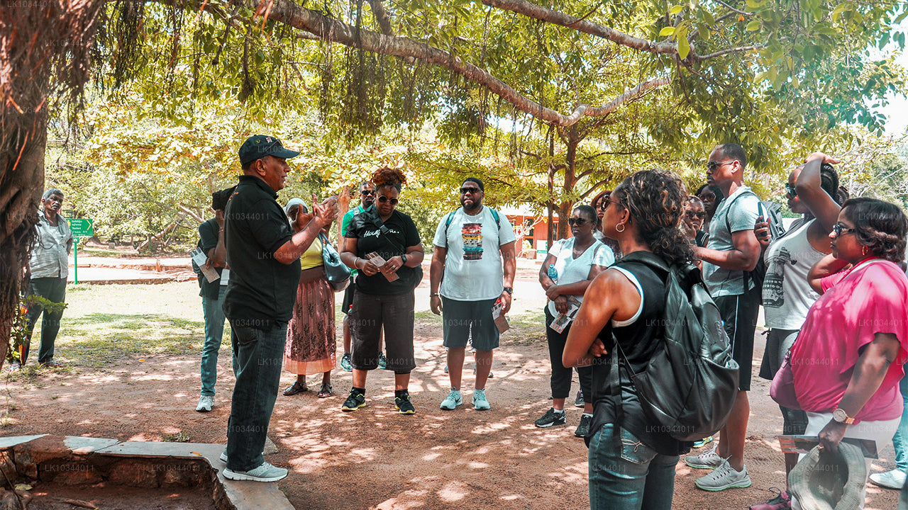 The Paradise Island (3 Days)