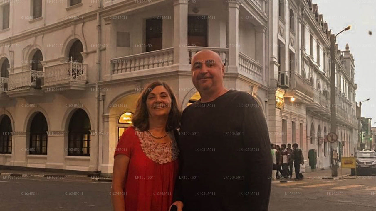 Last Kingdom of Sri Lanka from Colombo (3 Days)