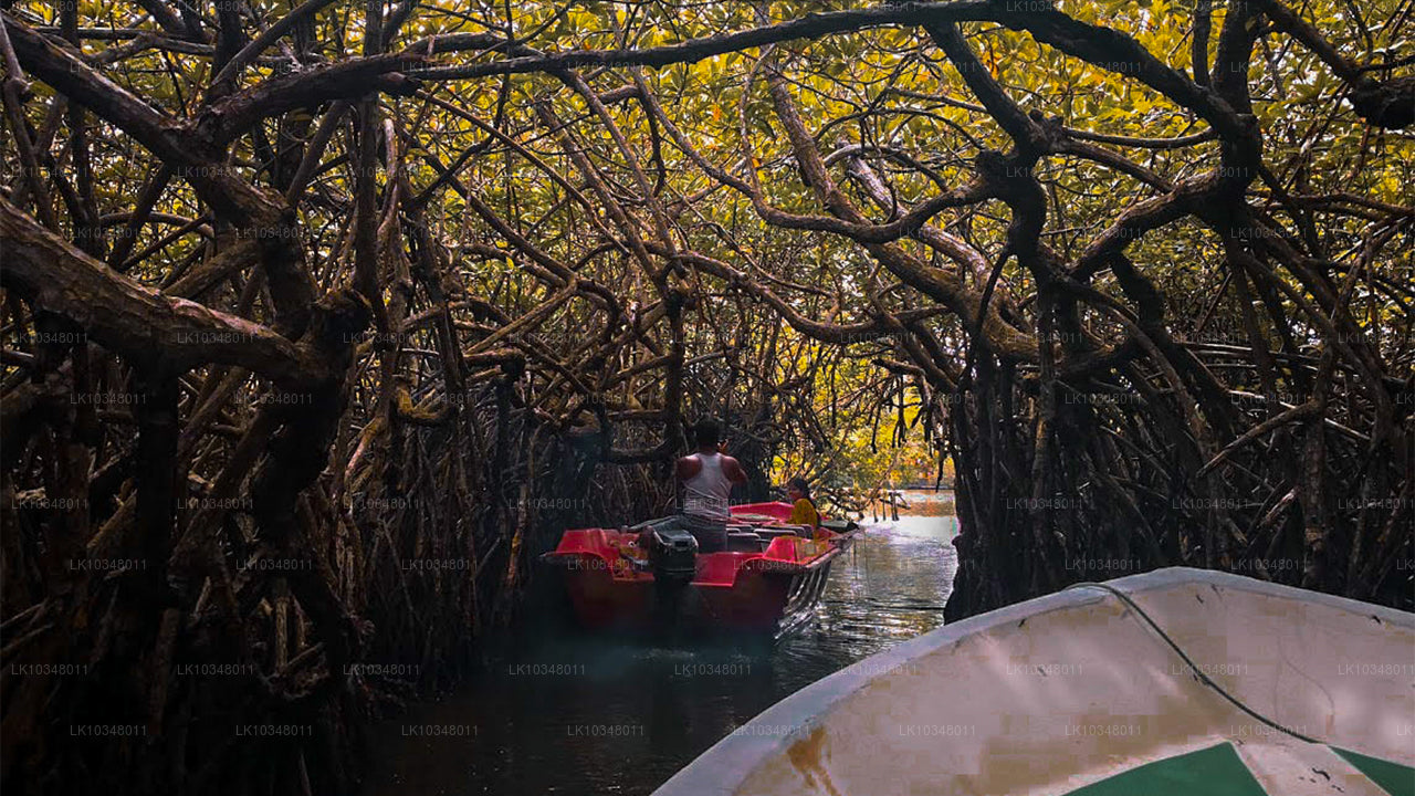 Cosy Sri Lanka (3 Days)