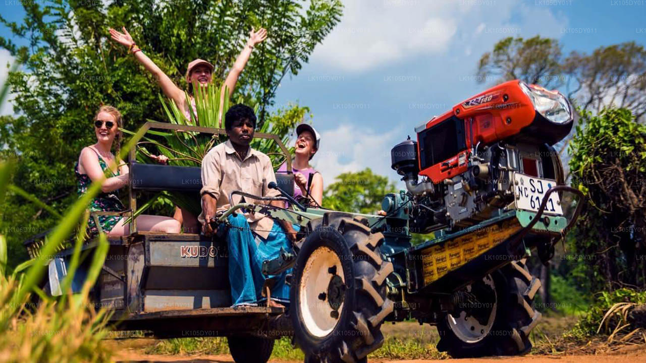 Agro Tour of Sri Lanka (6 Days)