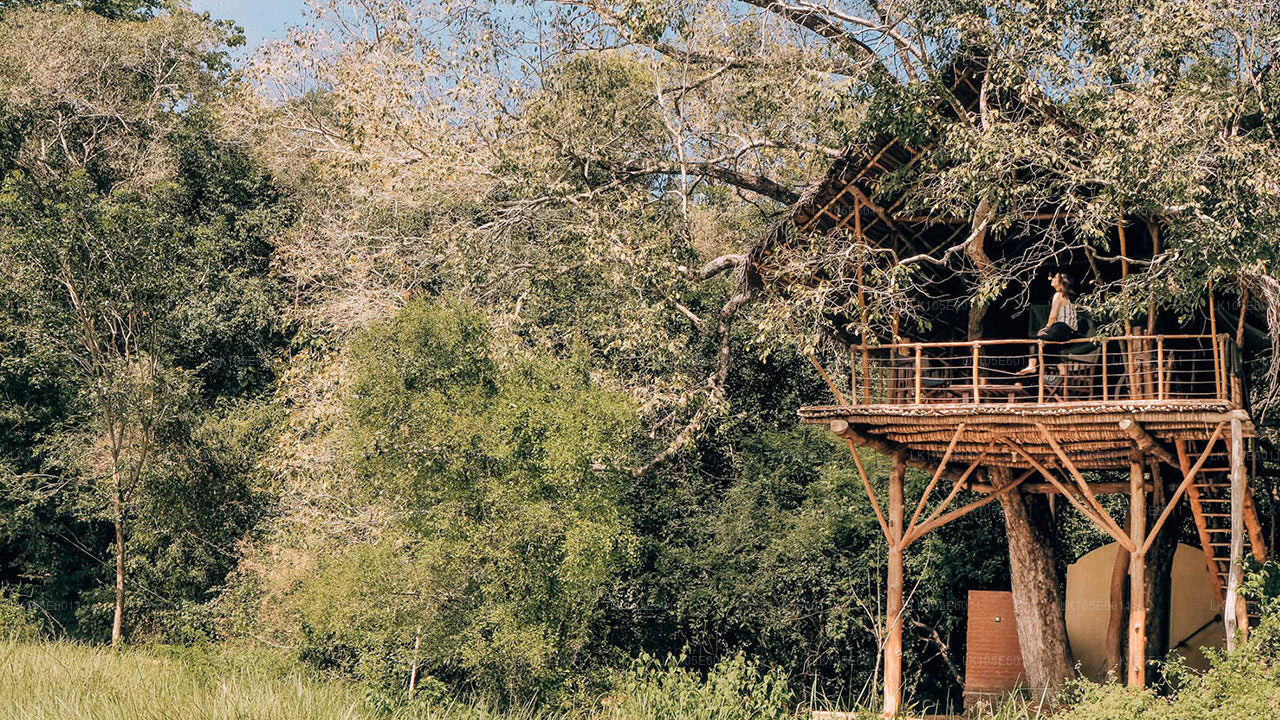 Eco Tours of Sri Lanka (6 Days)