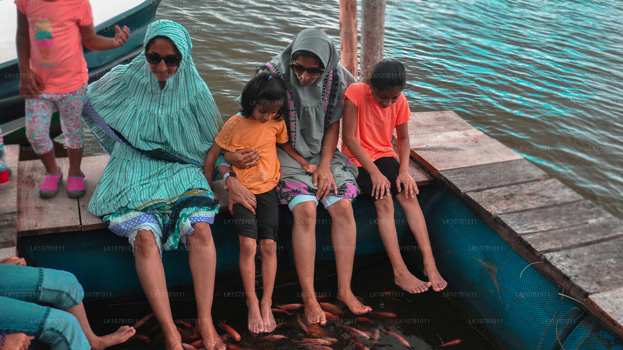 Golden Coast of the South (7 Days)