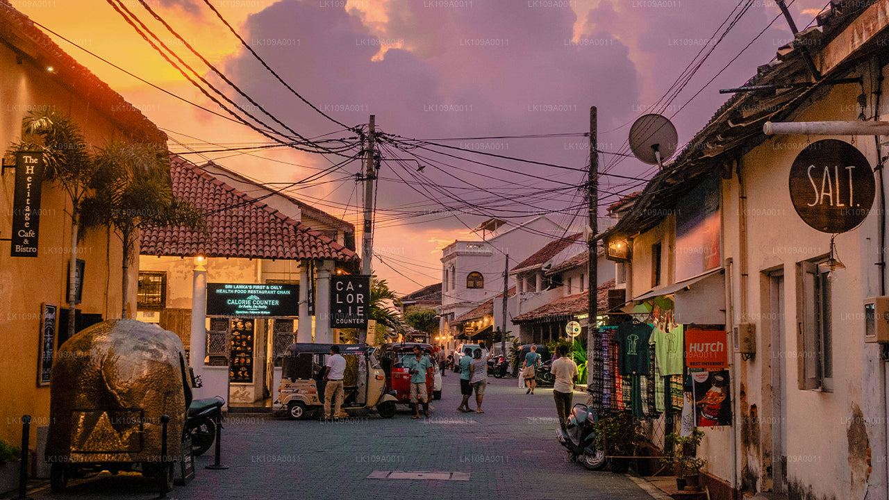 Culture and Heritage (9 Days)