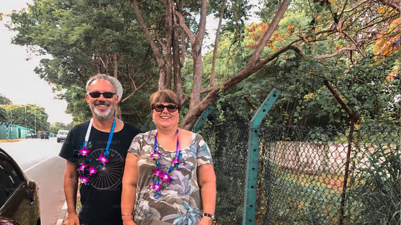 Highlights of Sri Lanka (10 Days)