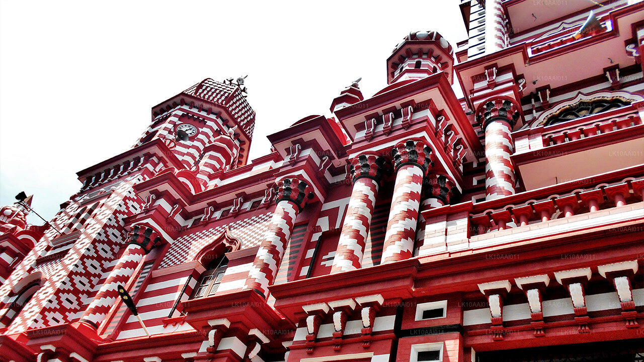 Sri Lanka Halal (Islamic) Tour (10 Days)