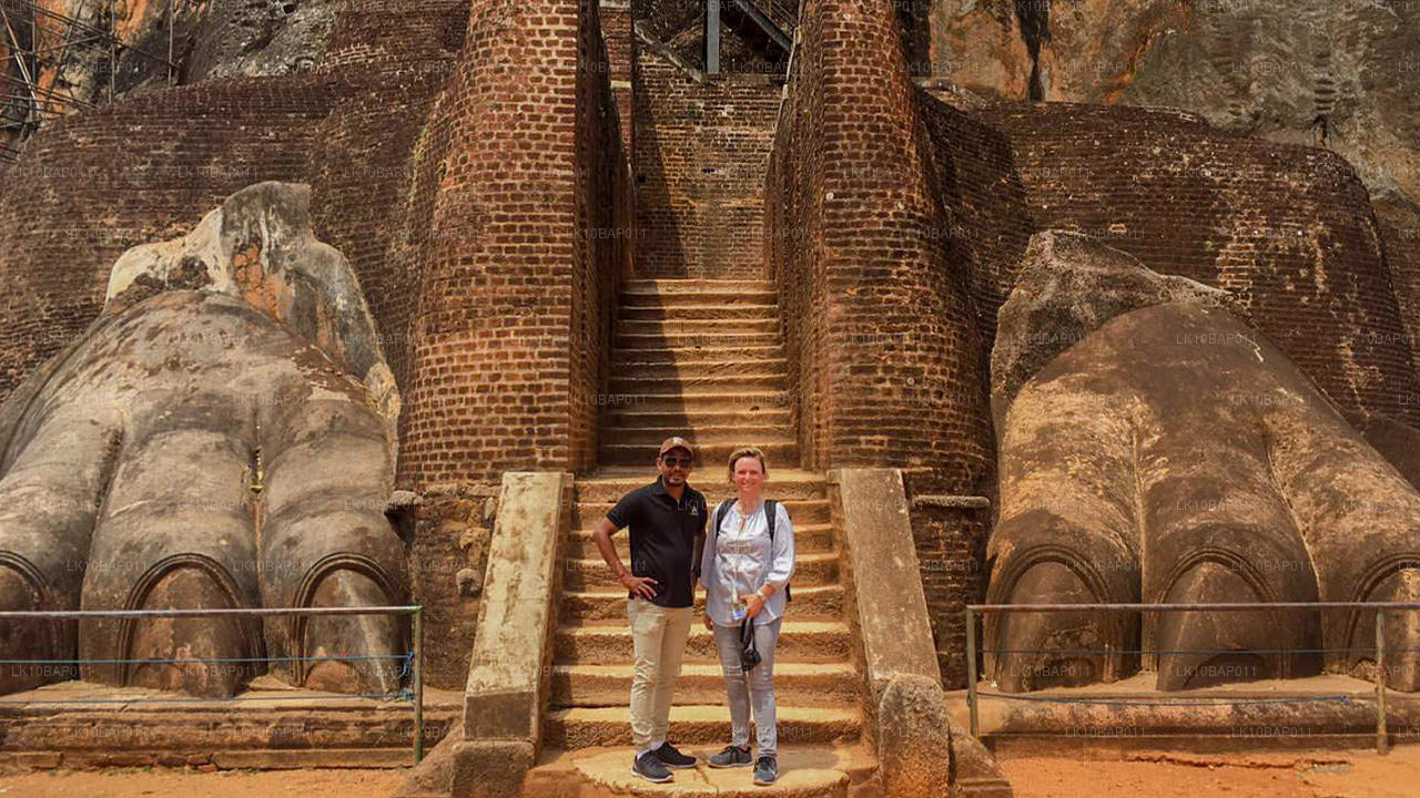 Discovering Sanctuary (11 Days)