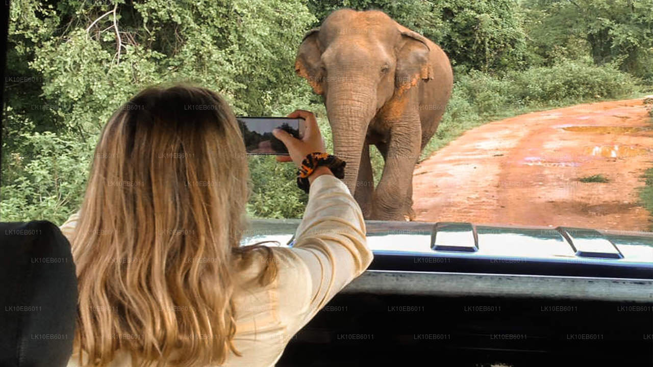 Spiritual Freedom (14 Days)