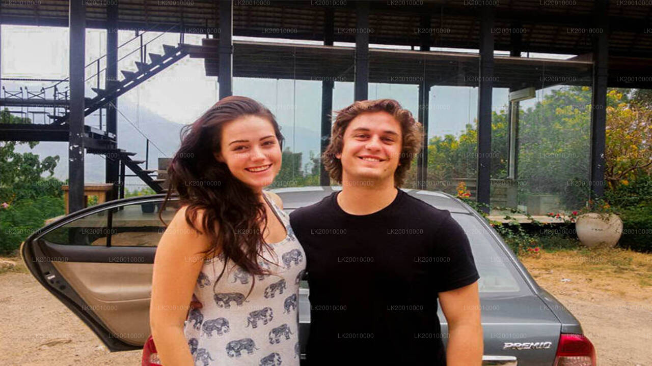 Chauffeur Driven Standard Car Rental