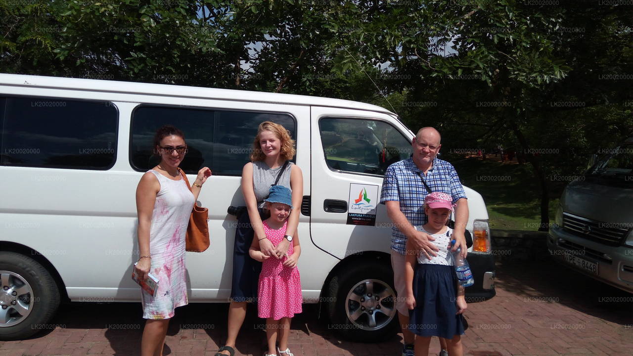 Chauffeur Driven Standard Van Rental