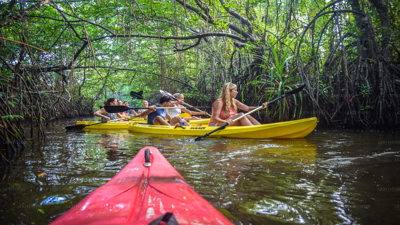 Kayaking at Rathgama Lake from Hikkaduwa