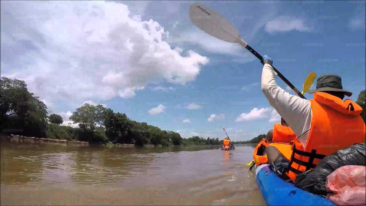 Canoeing in Mahaweli River from Kandy