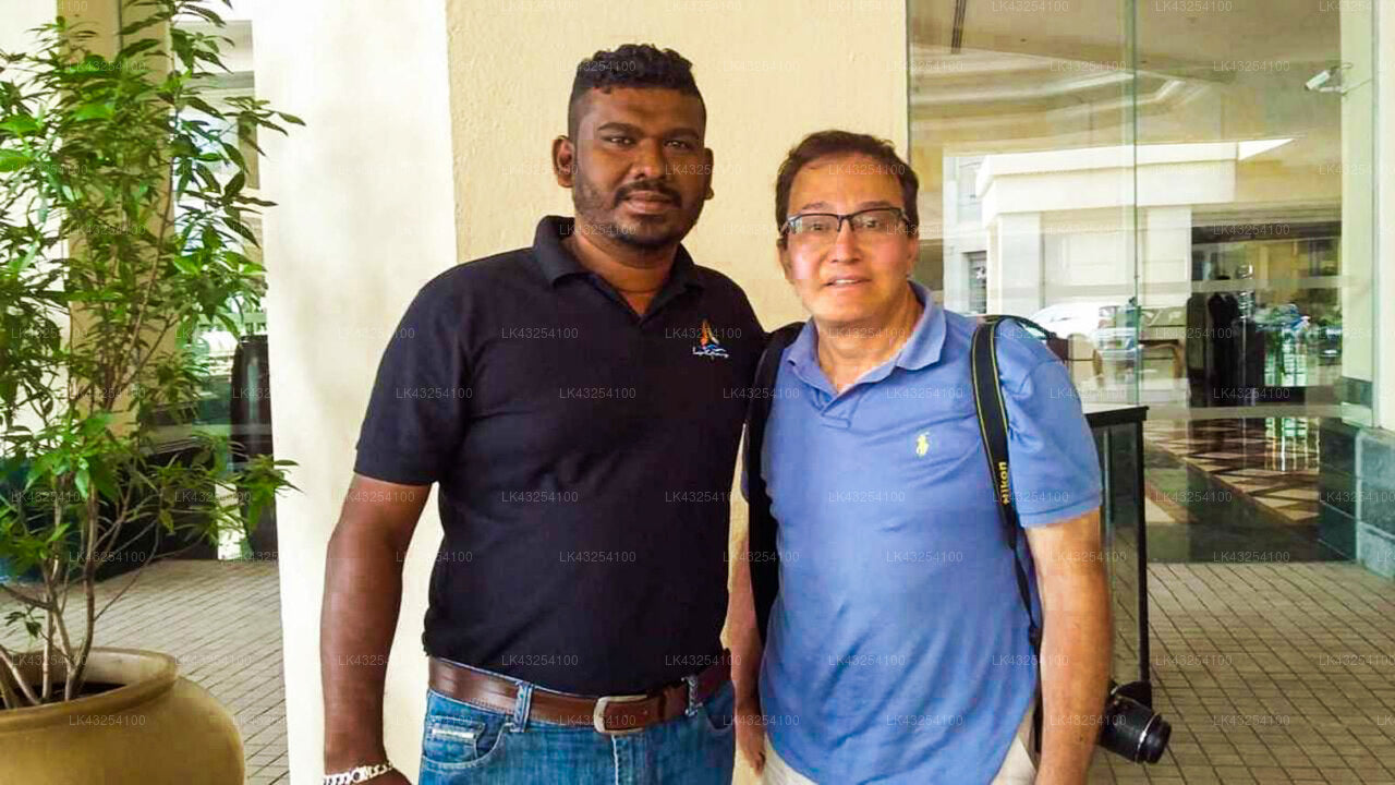 Transfer between Colombo Airport (CMB) and Oasis Aramaya Ayurveda Resort, Hambantota