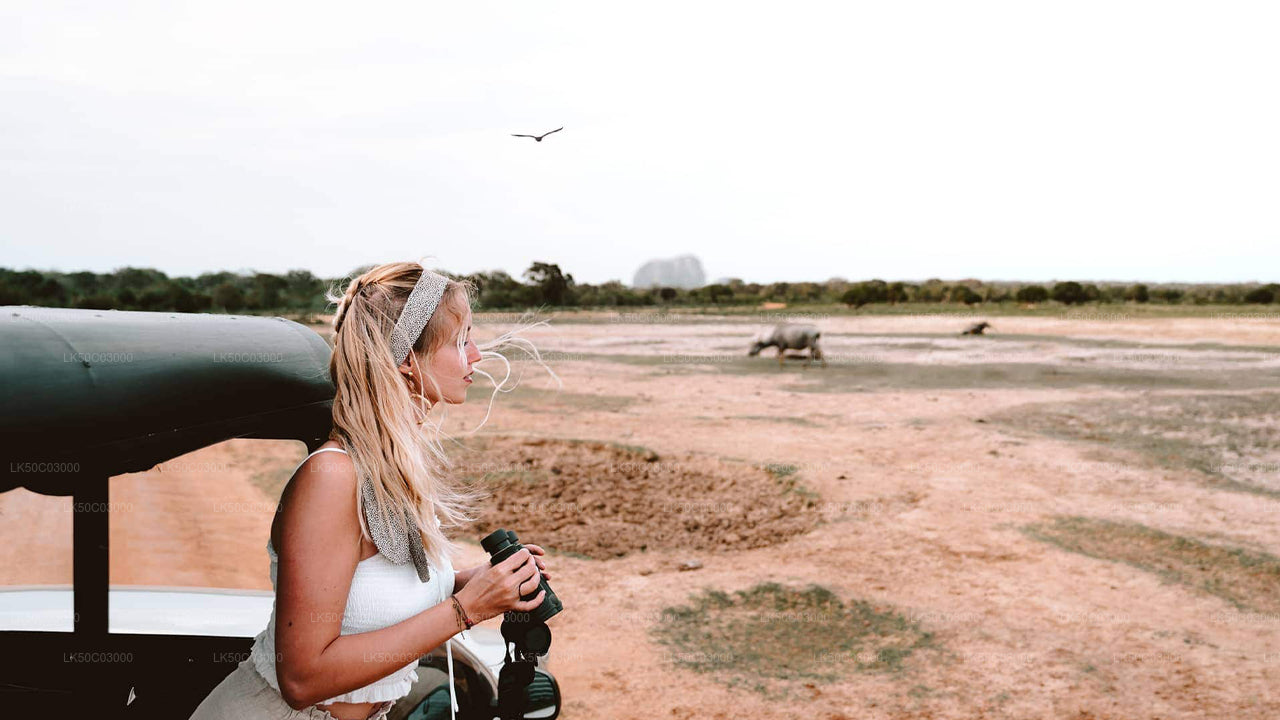 A person on a safari jeep looking at wildlife with binoculars in a grassy landscape with scattered trees.