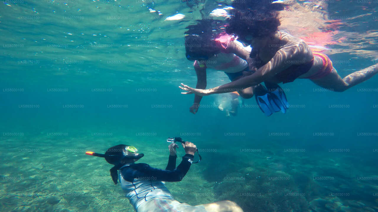 Snorkeling from Bentota