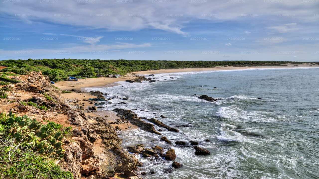 Bundala National Park Safari from Bentota