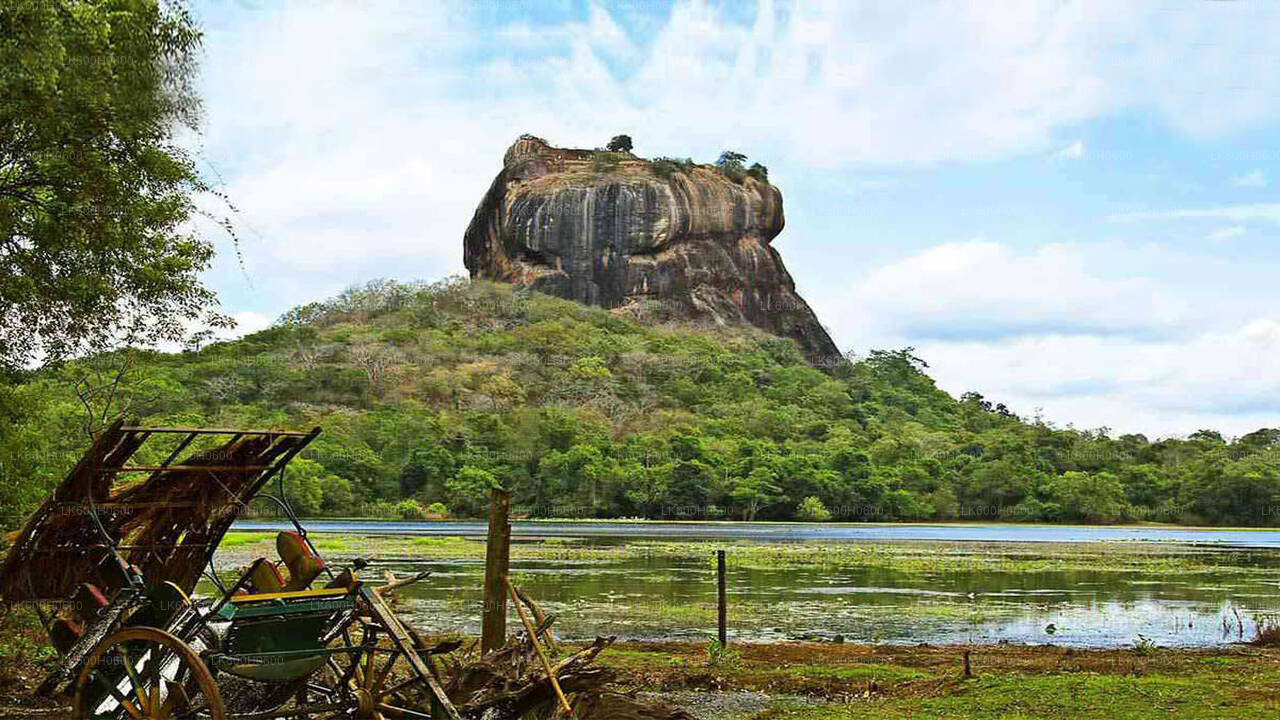 Sigiriya, Dambulla and Village Tour from Colombo