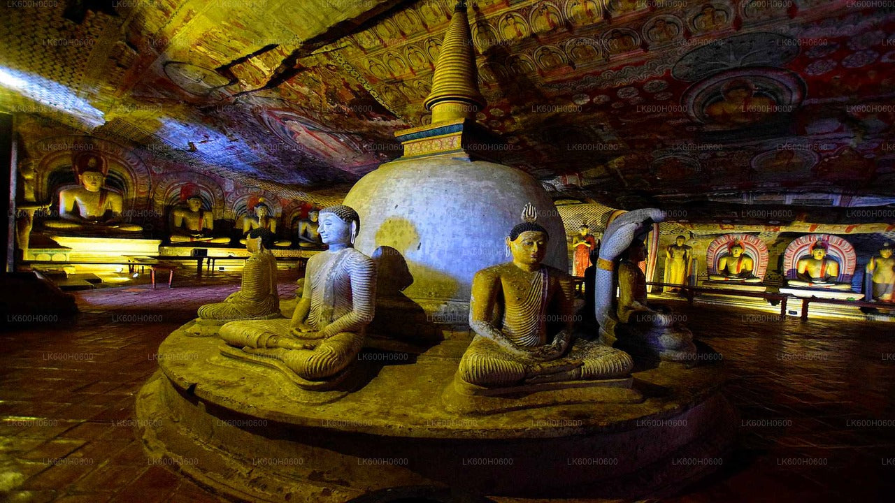 Sigiriya, Dambulla and Village Tour from Colombo