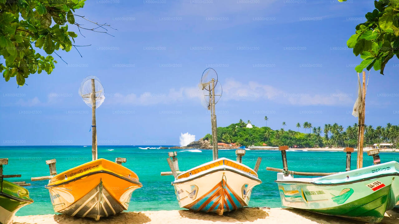 Negombo City Tour from Colombo