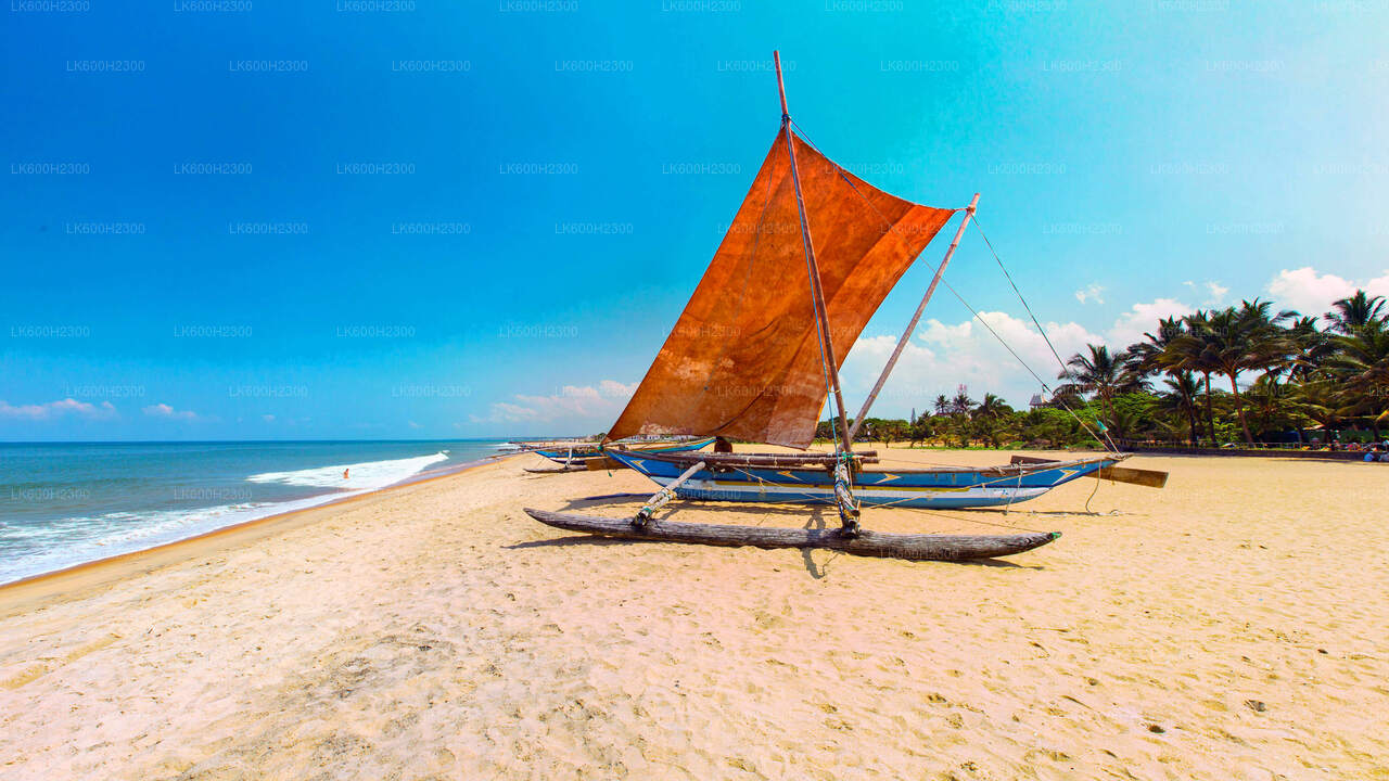 Negombo City Tour from Colombo