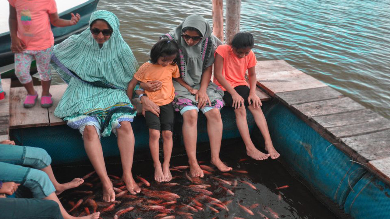 Balapitiya, Handunugoda and Galle from Bentota