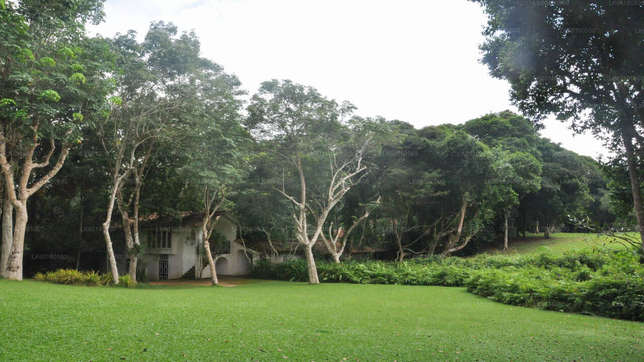 Bentota City Tour from Kalutara