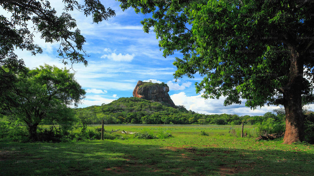 Sigiriya and Dambulla from Negombo