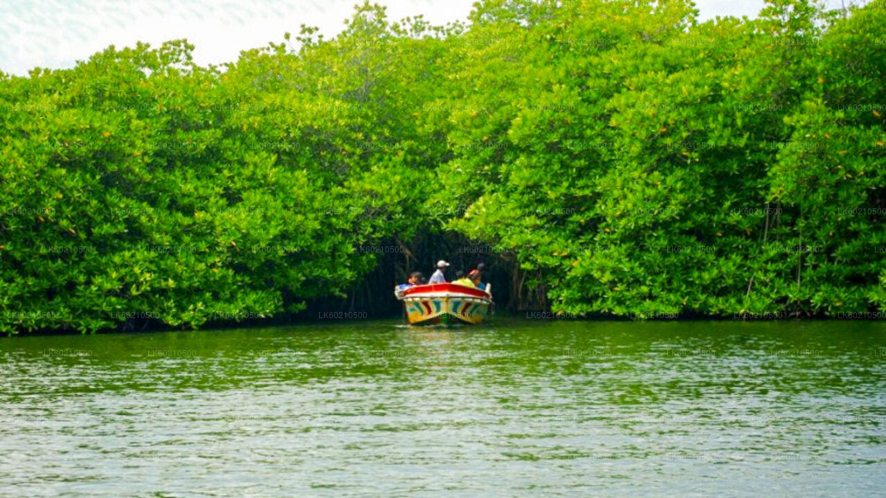 Bentota City Tour from Tangalle