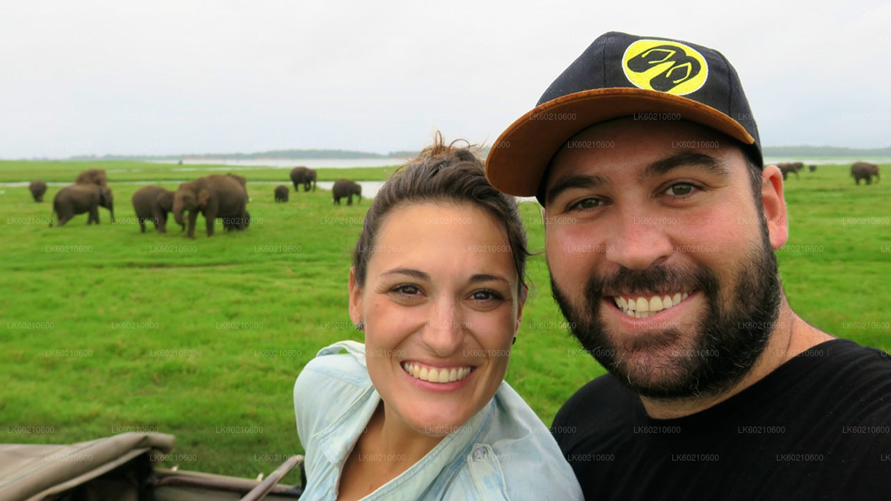 Bundala National Park Safari from Tangalle