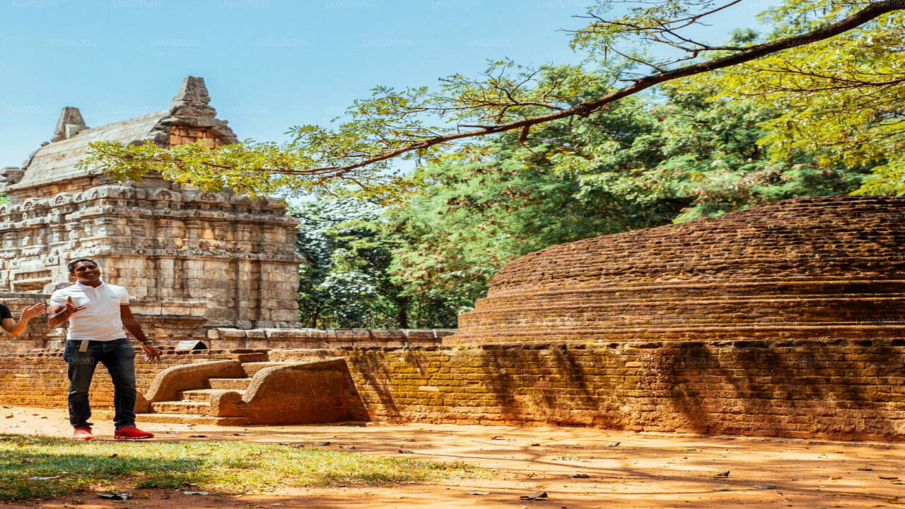 Sigiriya, Dambulla and Village Tour from Colombo