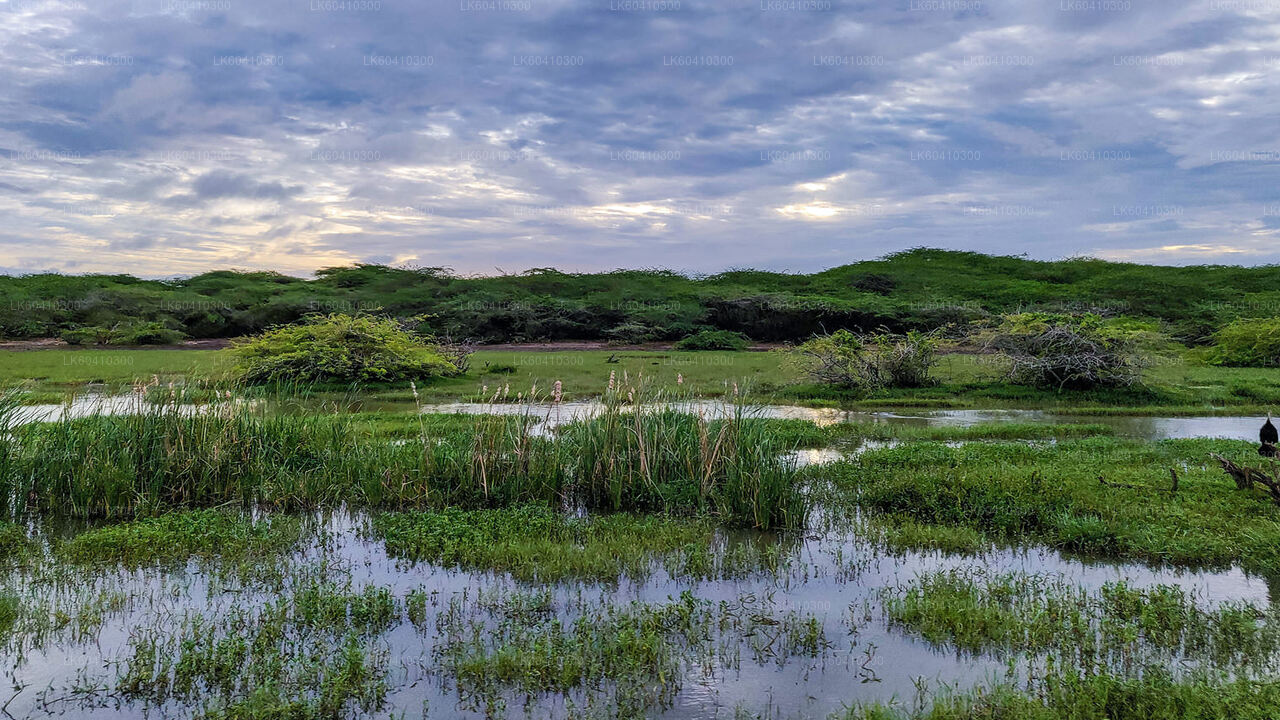 Bundala National Park Safari from Unawatuna