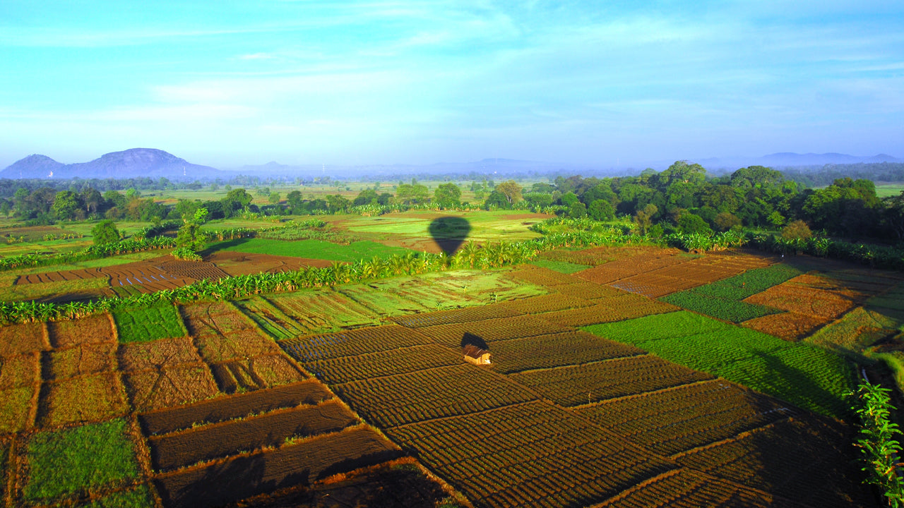 Hot Air Ballooning from Dambulla