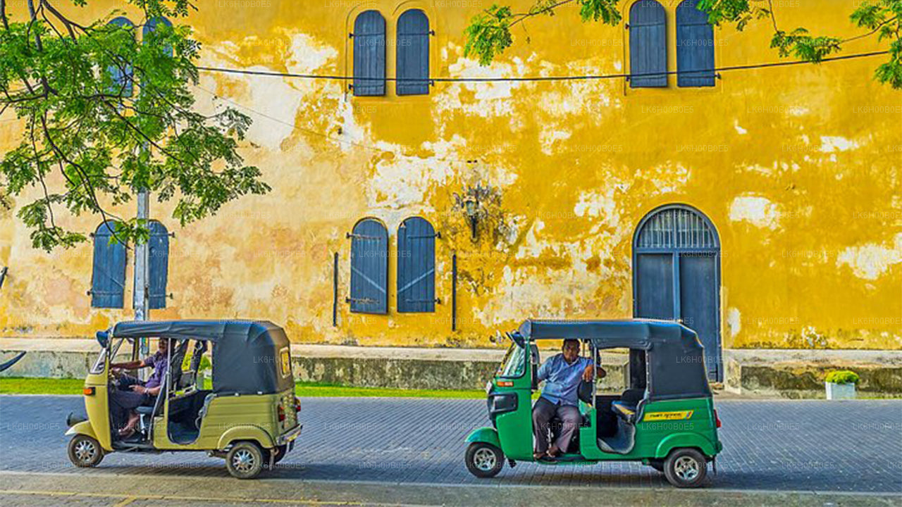 Dikwella Tuk Tuk Safari