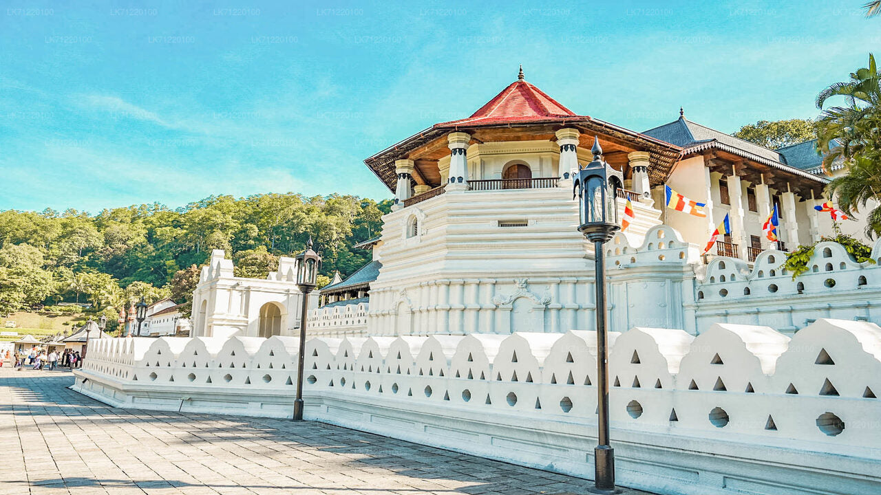 Temple of The Sacred Tooth Relic Entrance Tickets