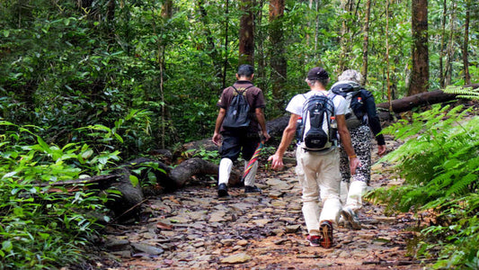 Kanneliya Rainforest Trek from Galle