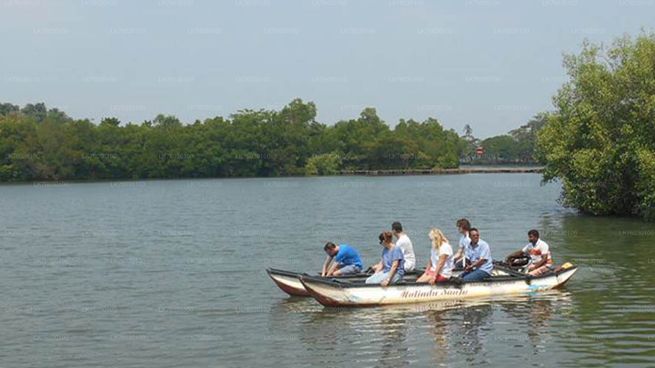 Southern Coast Highlights and River Safari from Ahungalla