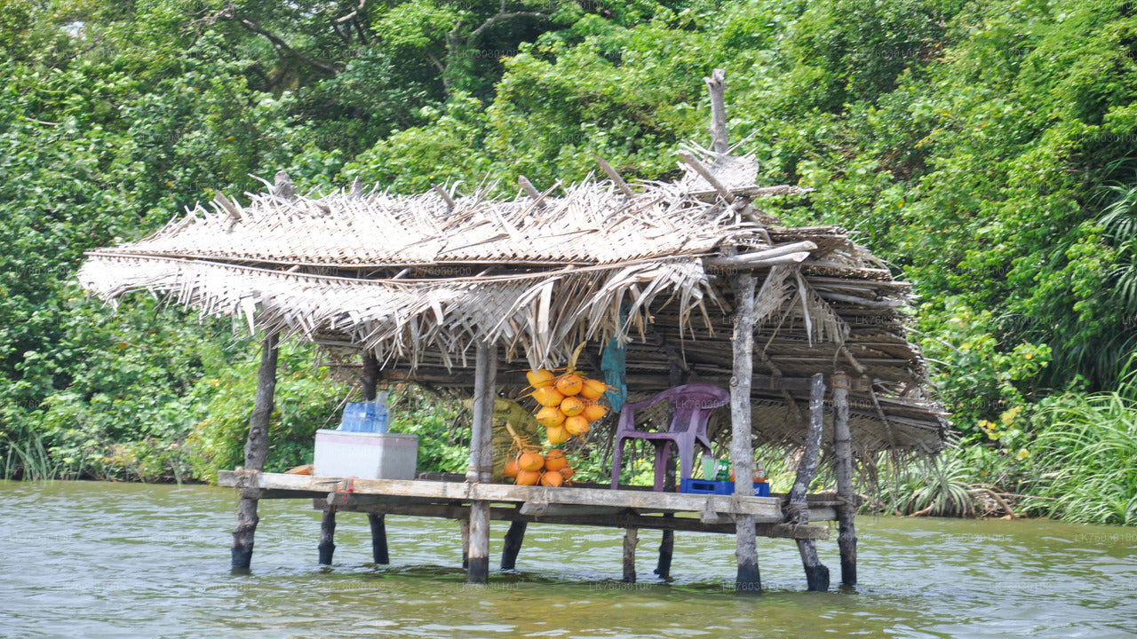 Southern Coast Highlights and River Safari from Ahungalla