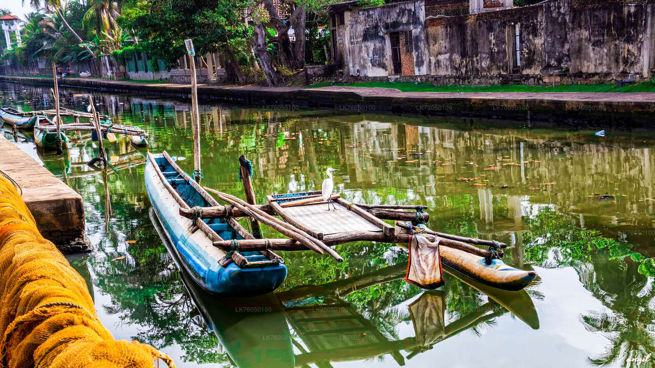 Dutch Canal Boat Tour from Negombo