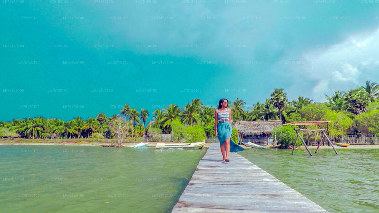 Lagoon Boat Tour from Kalpitiya