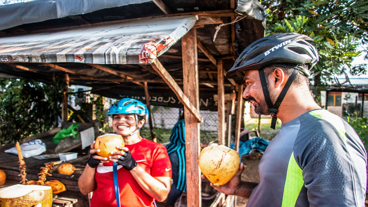 Colombo Countryside Cycling Tour
