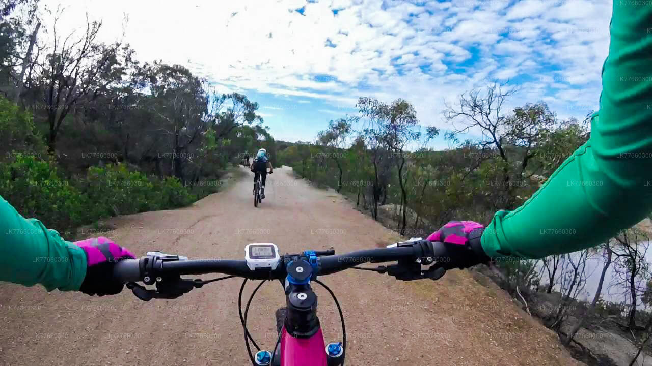 Thalangama Wetland Cycling Tour from Colombo