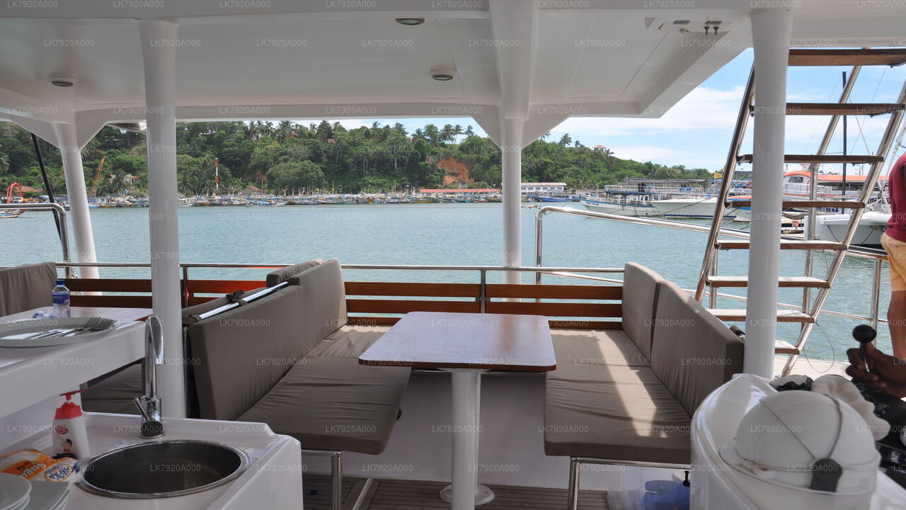 Sail to Delft Island