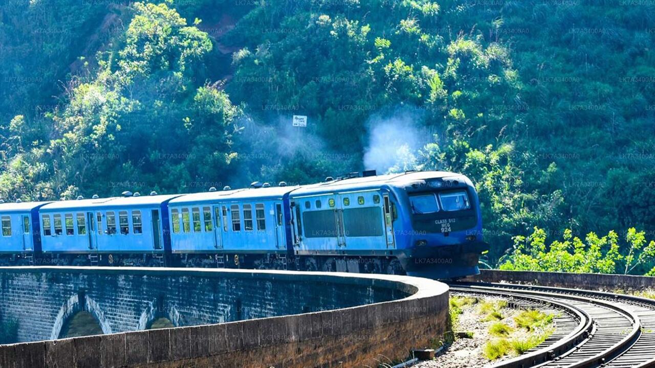 Kandy to Nanu Oya train ride on (Train № 1005 "Podi Menike")