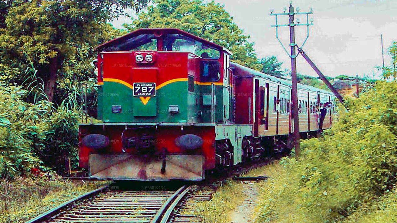 Badulla to Colombo train ride on (Train № 1016 "Udarata Menike")